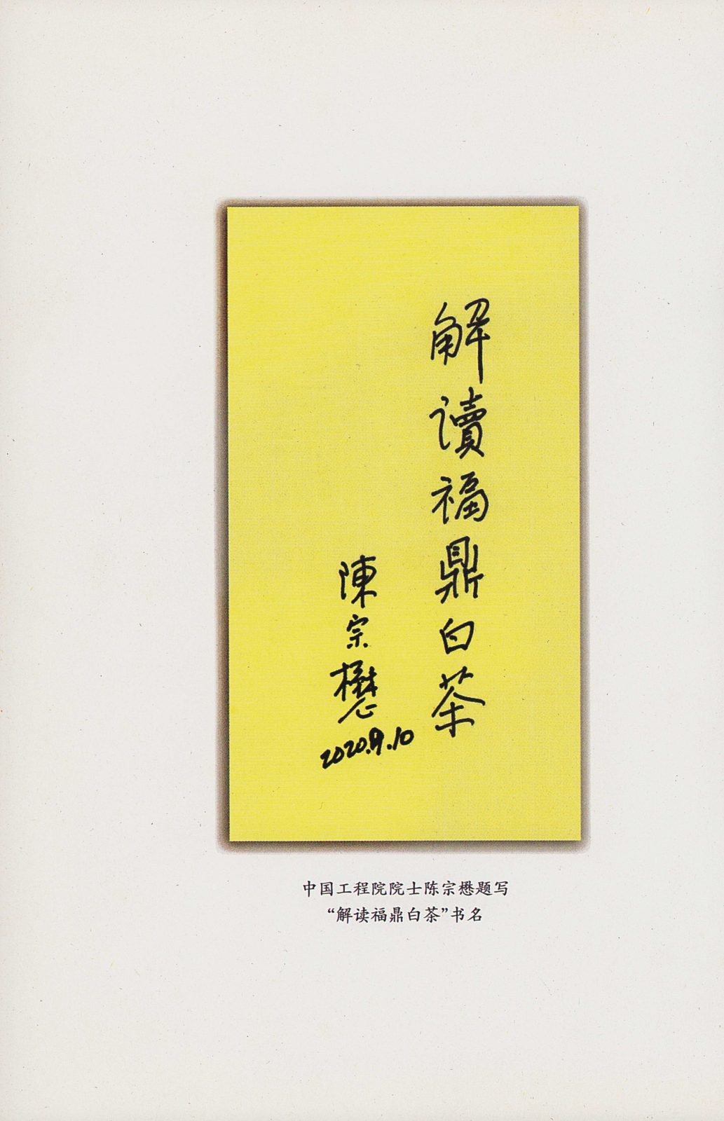 解读福鼎白茶01-目录