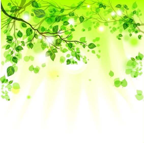 完美的陌生人-曲肖冰