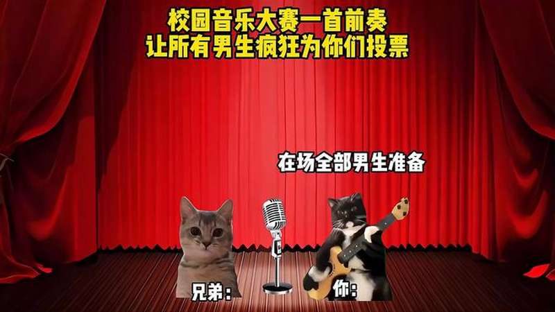 视频测试 压缩文件