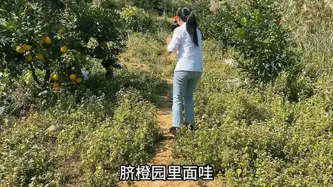 视频 新兴县