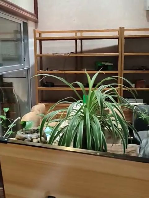 测试一下