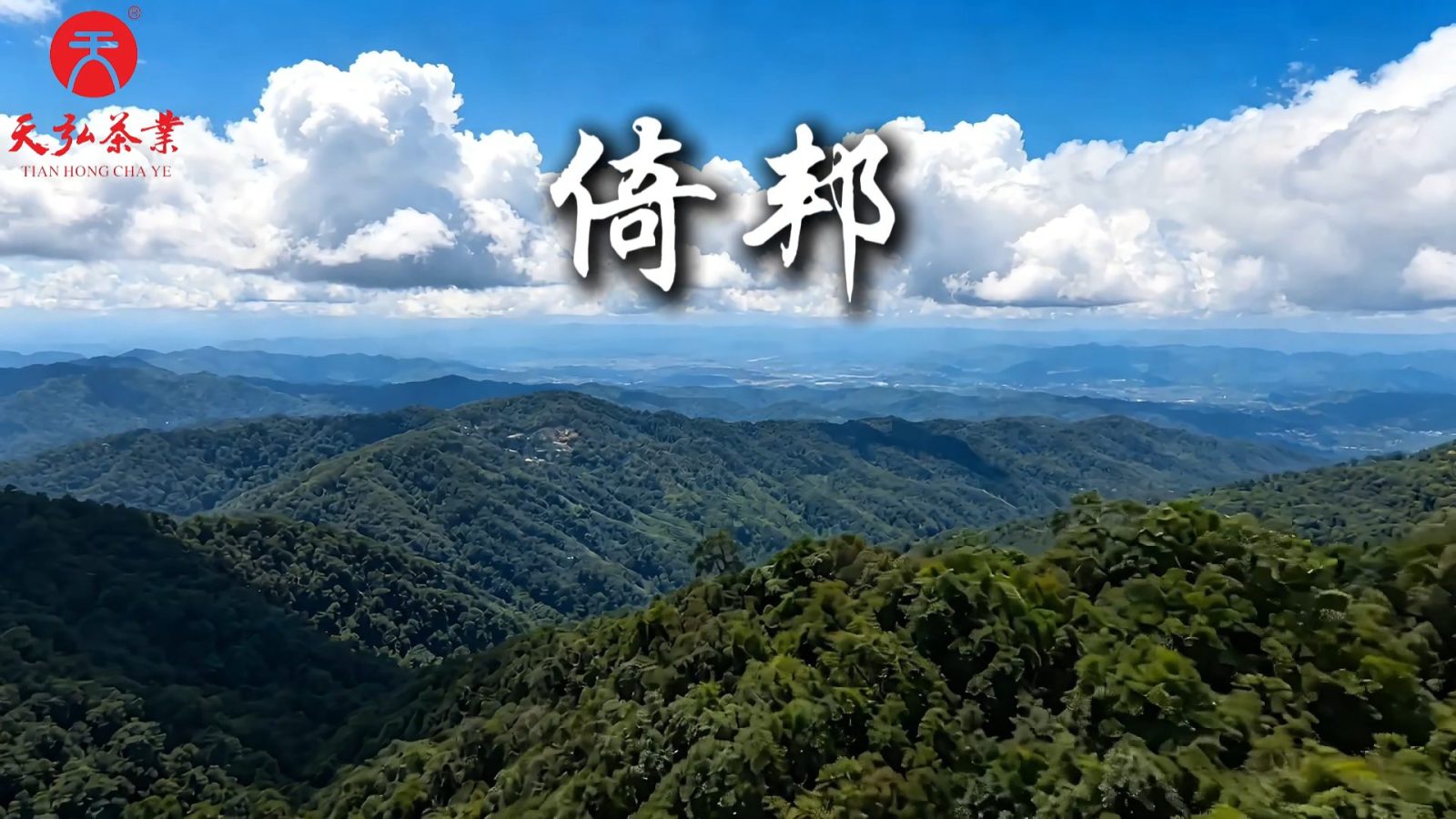 天弘–倚邦