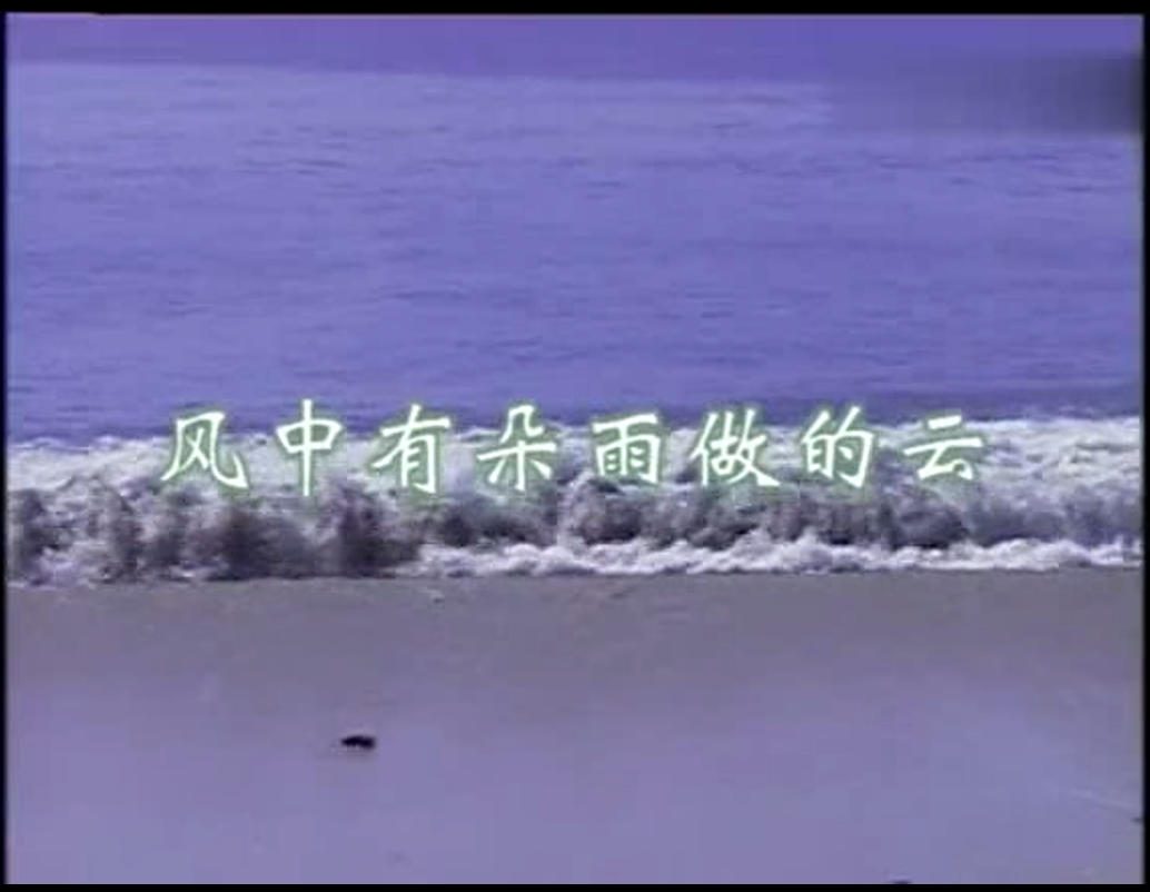 孟庭苇 - 风中有朵雨做的云