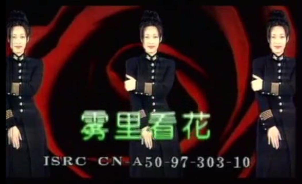 那英 - 雾里看花