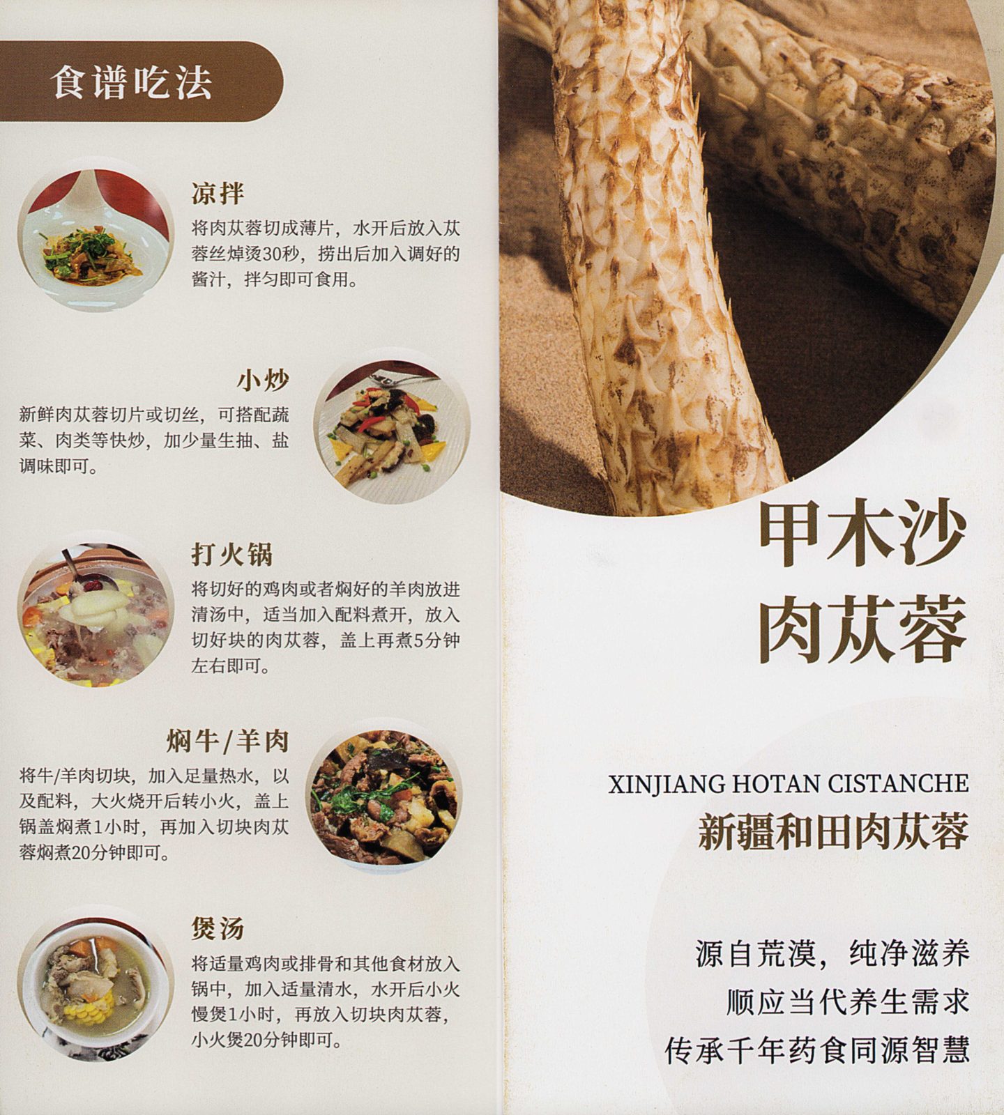 商家案例-肉苁蓉宣传册