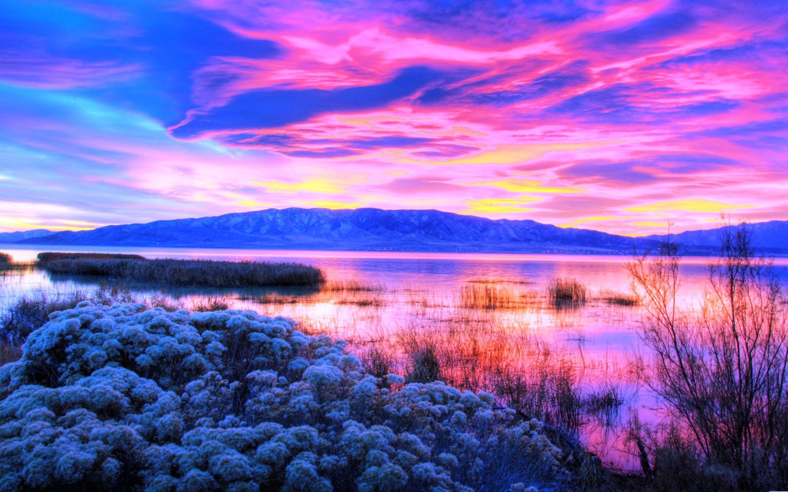 测试 文档 111元