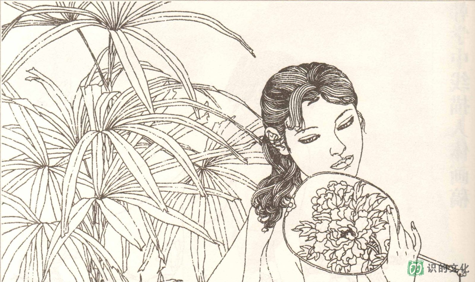 韩学中线描画稿