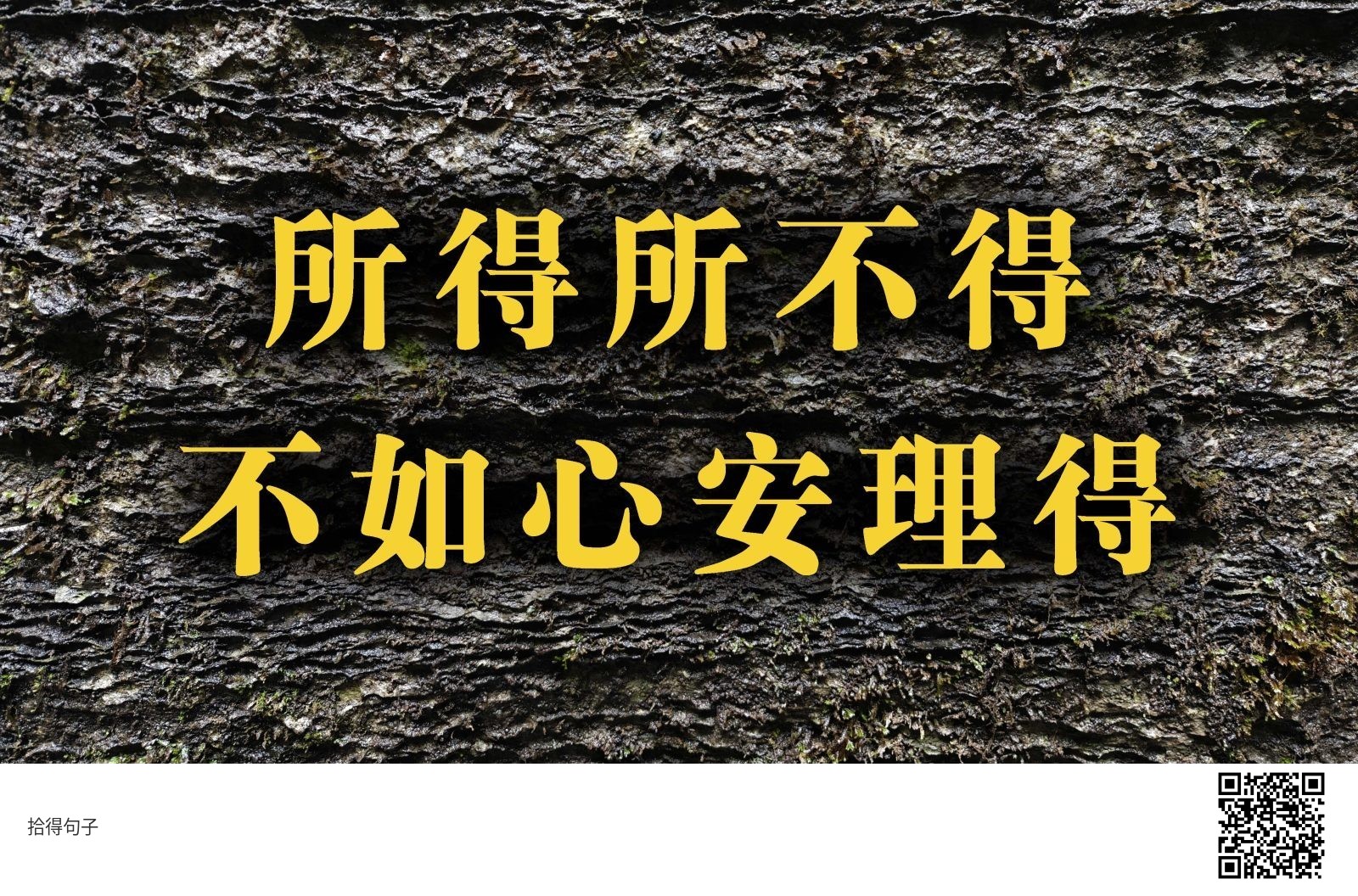 所得所不得