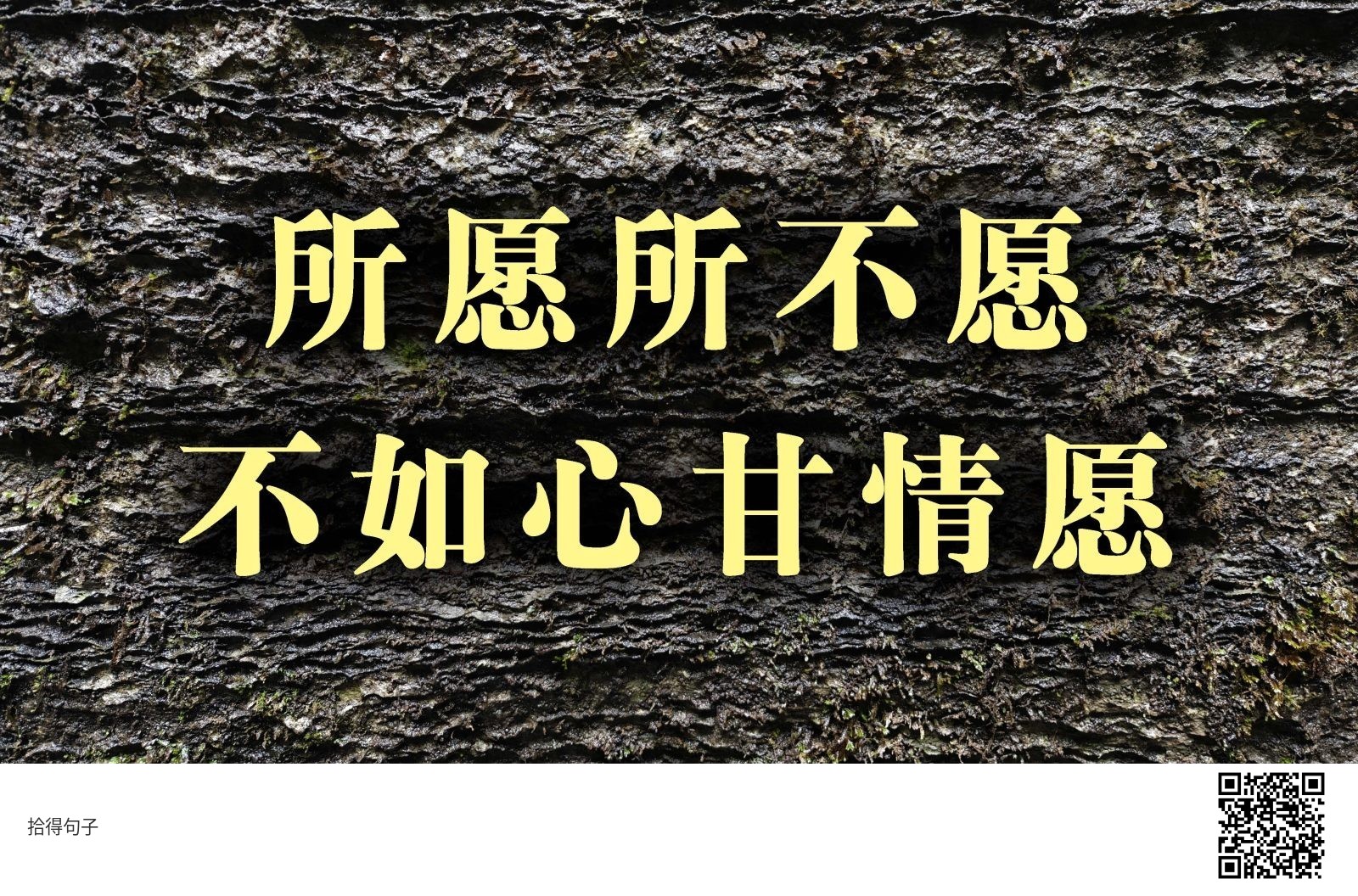 所愿所不愿不如心甘情愿