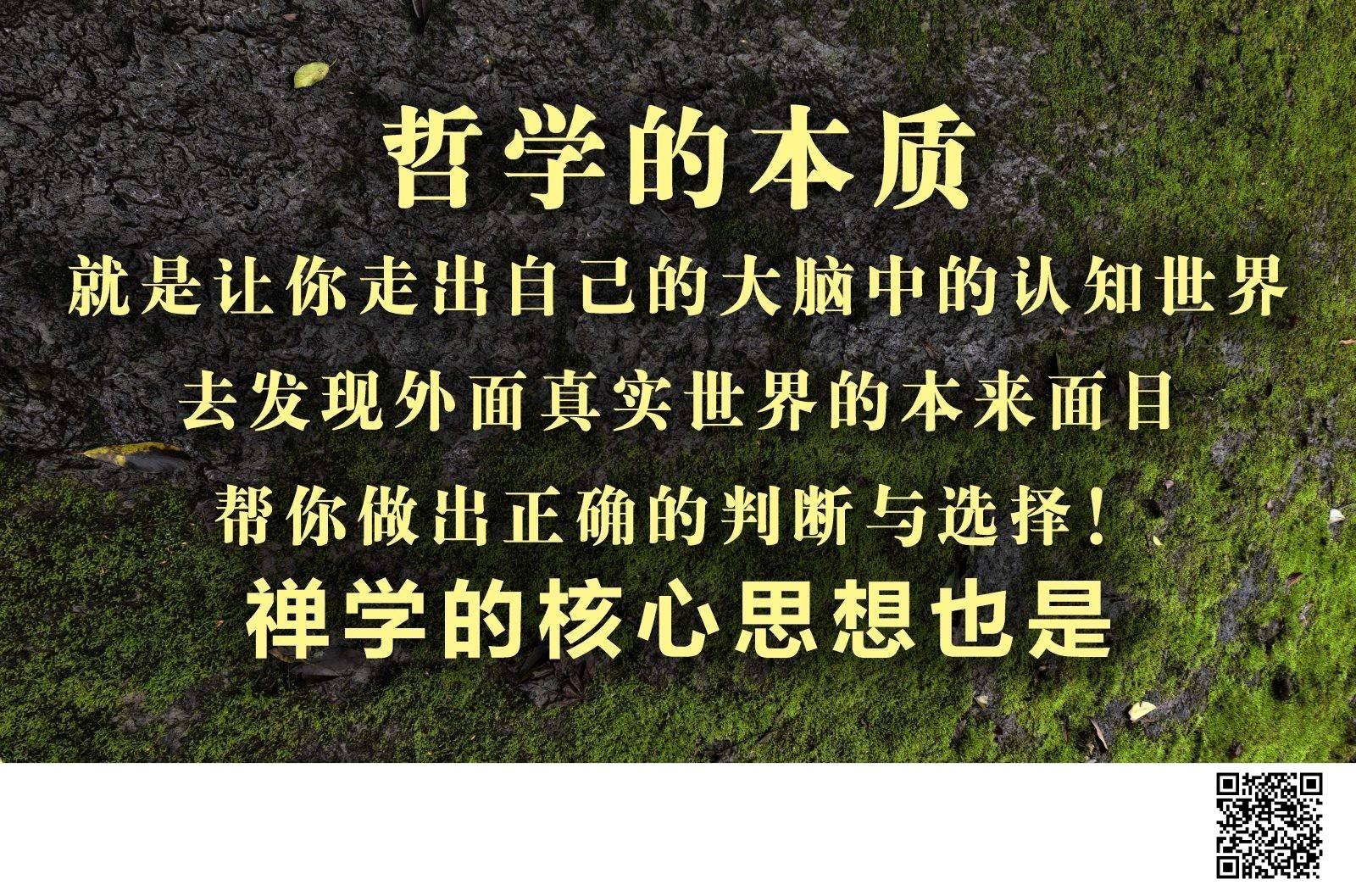 哲学的本质