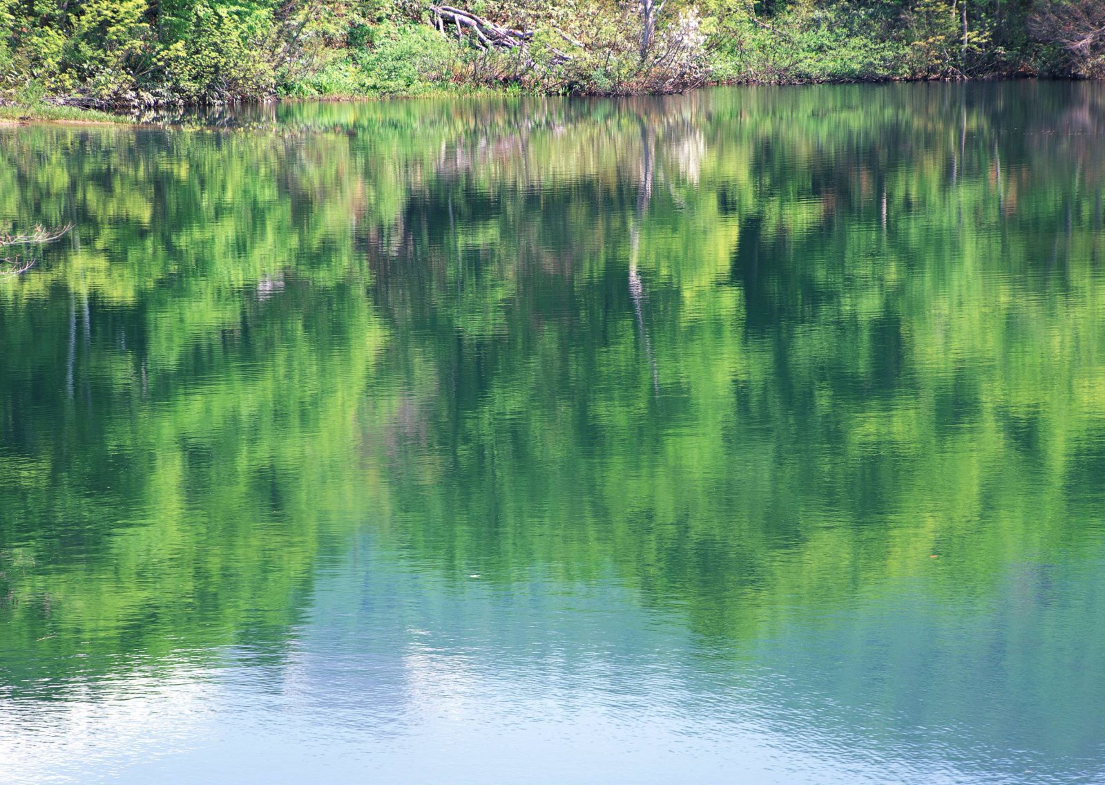 清溪自然03