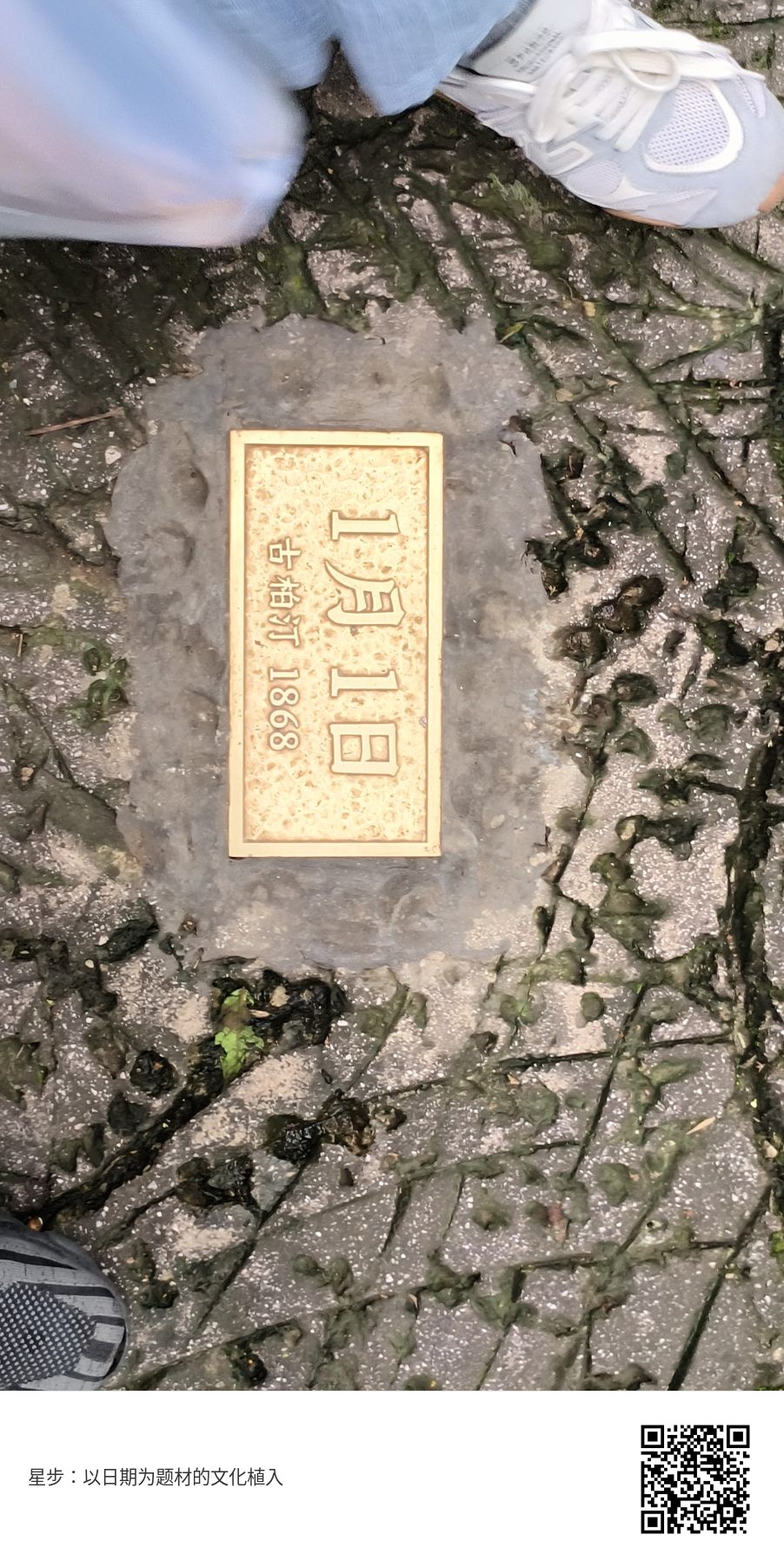 星步素材