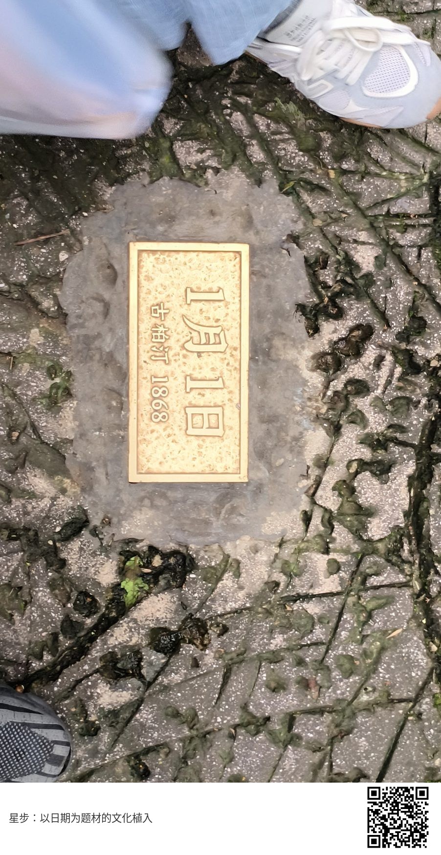 星步素材