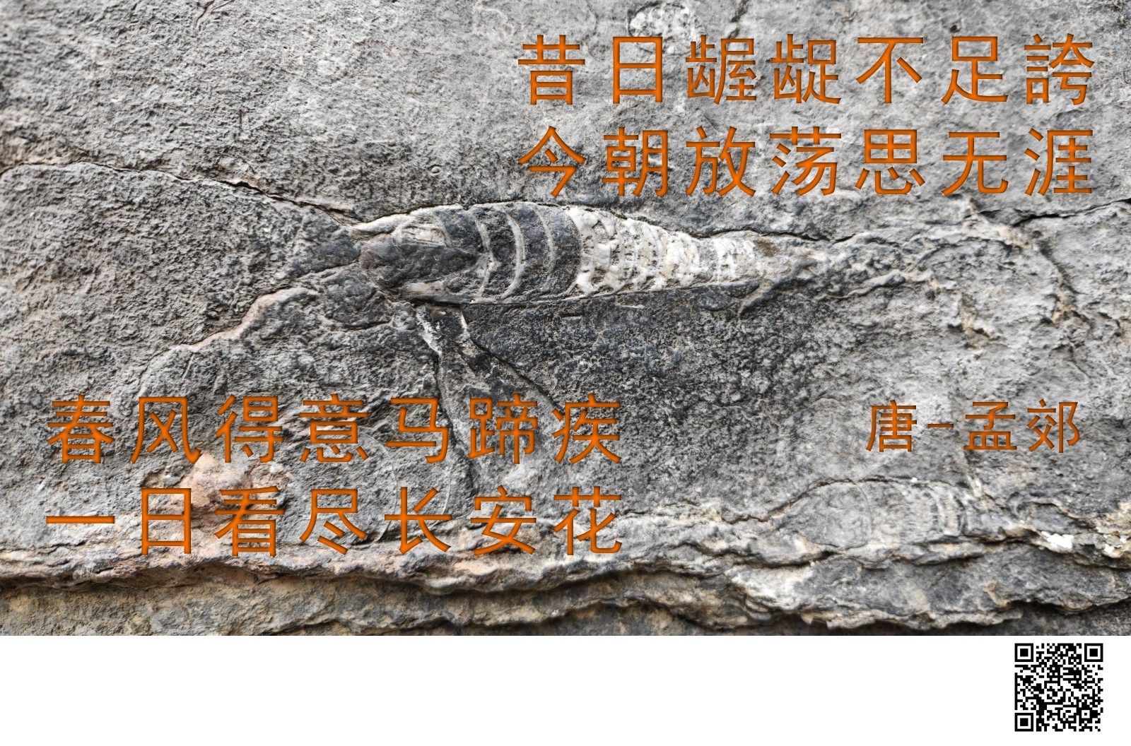 春风得意马蹄疾