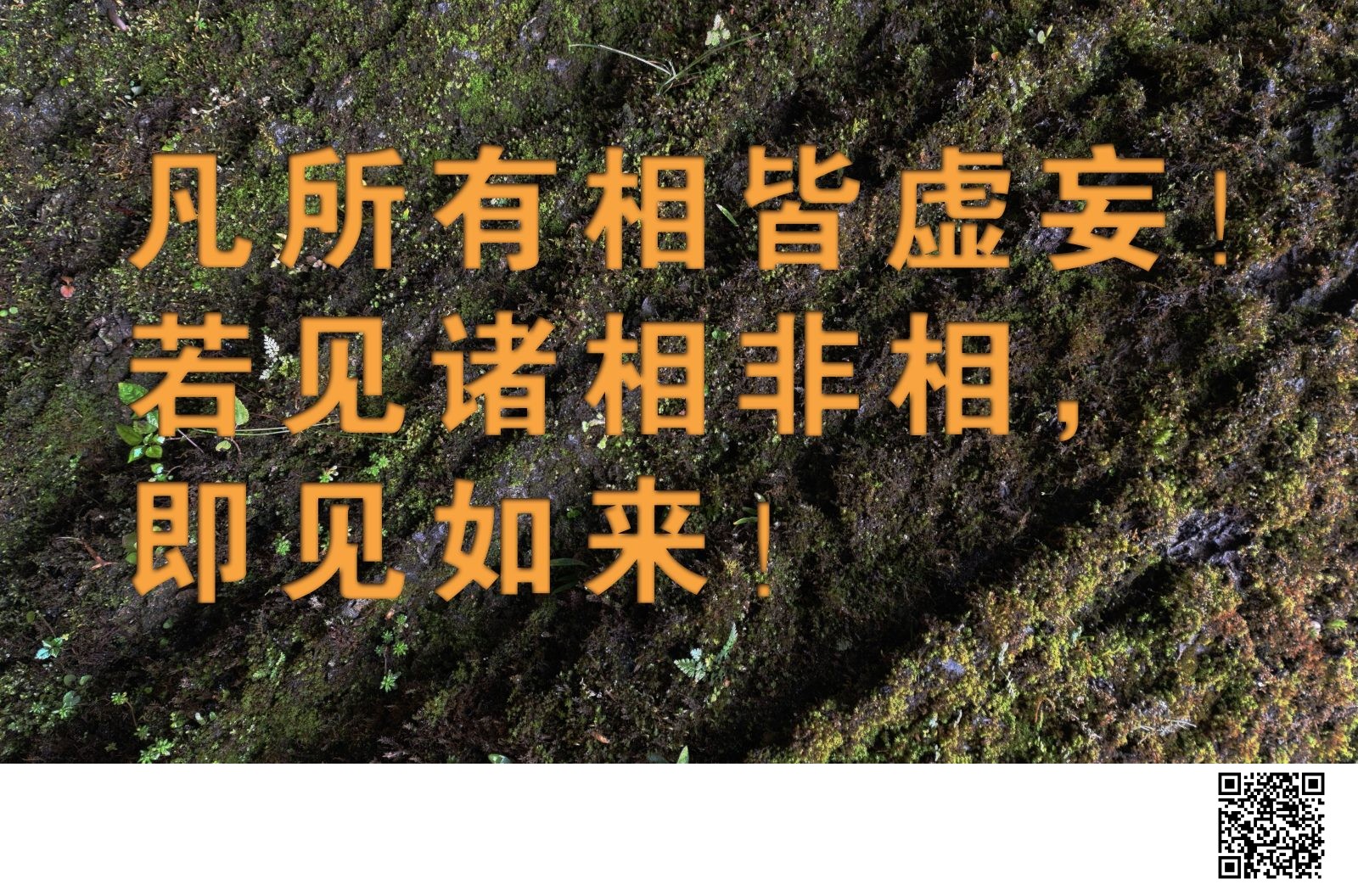 凡所有相皆虚妄