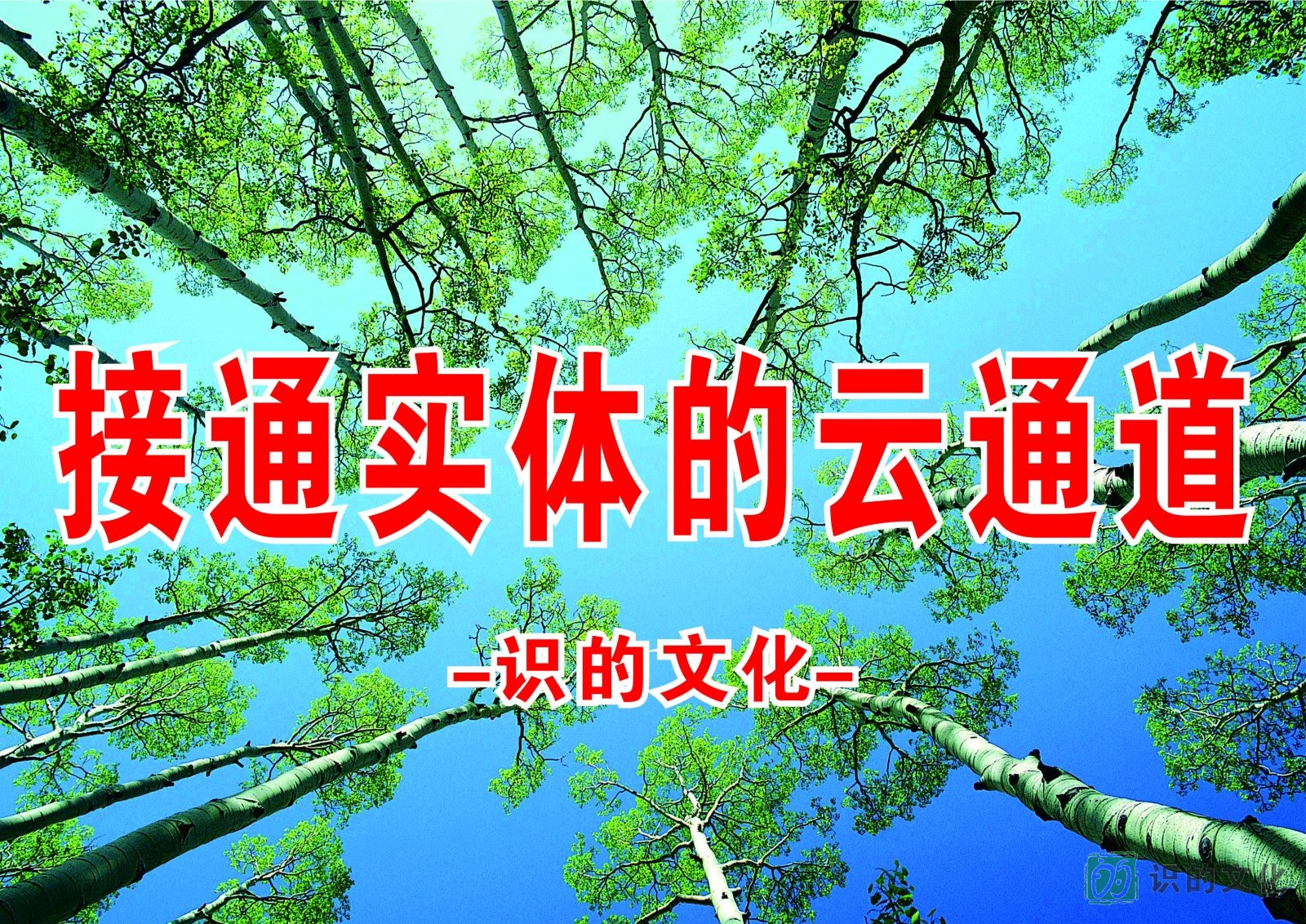 接通实体的云通道