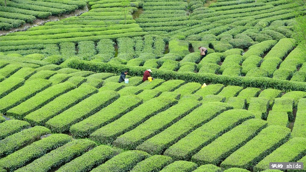 图库 测试压缩文件