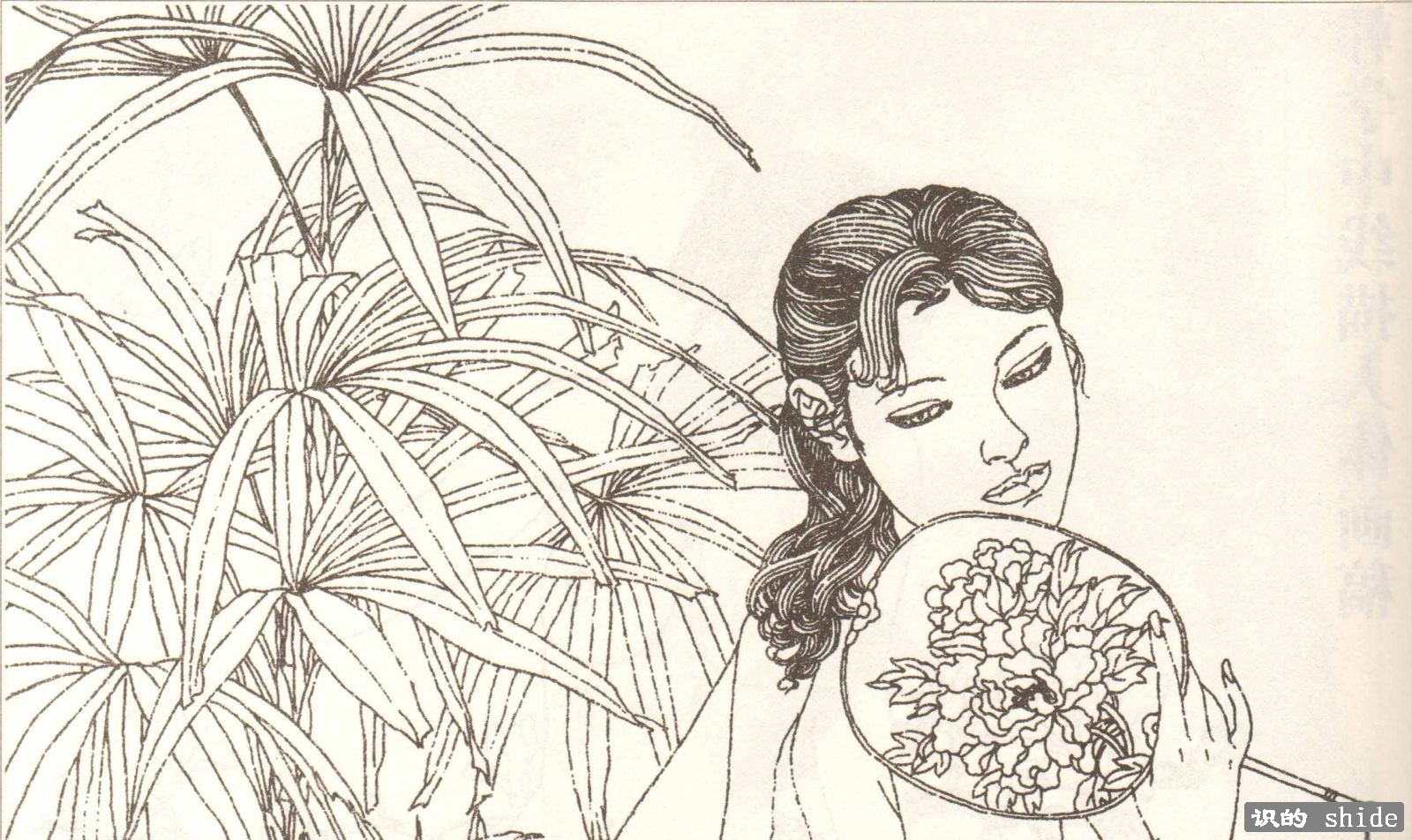 韩学中线描画稿