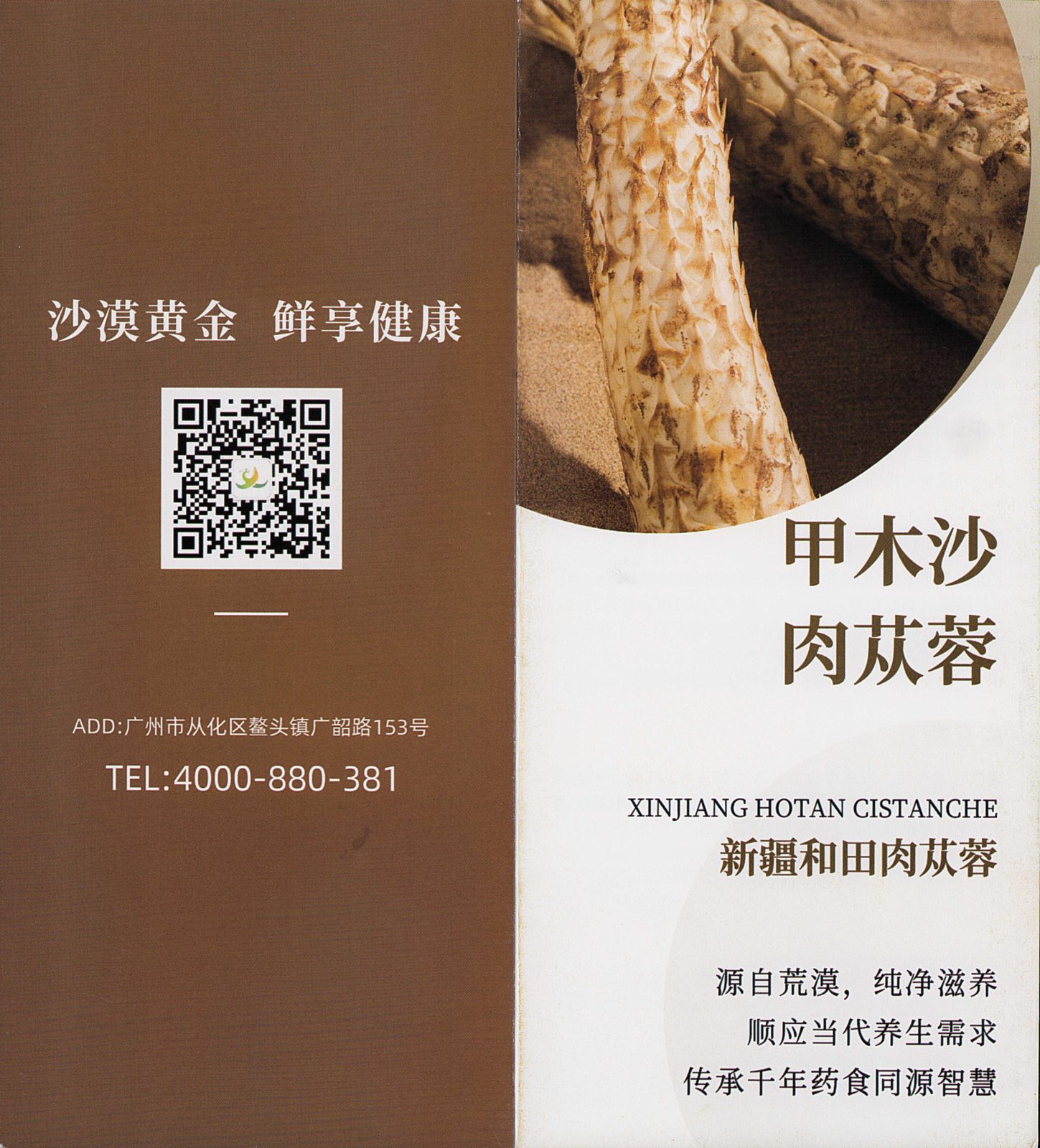 肉苁蓉科普（案例）
