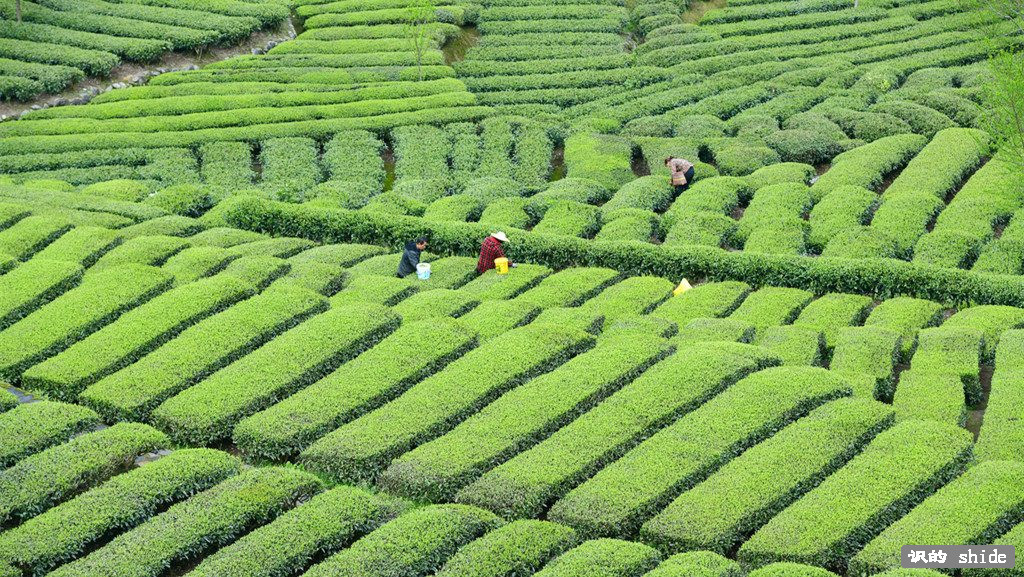 图库 测试压缩文件