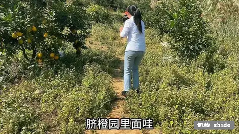 图片文字说明  测试2