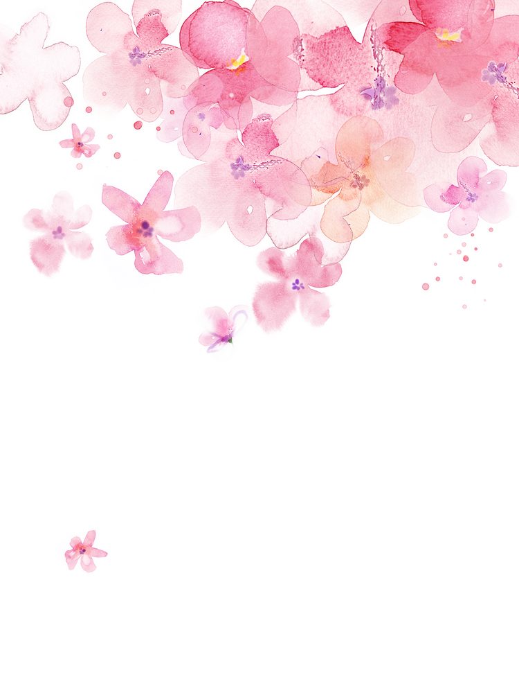 商品图6