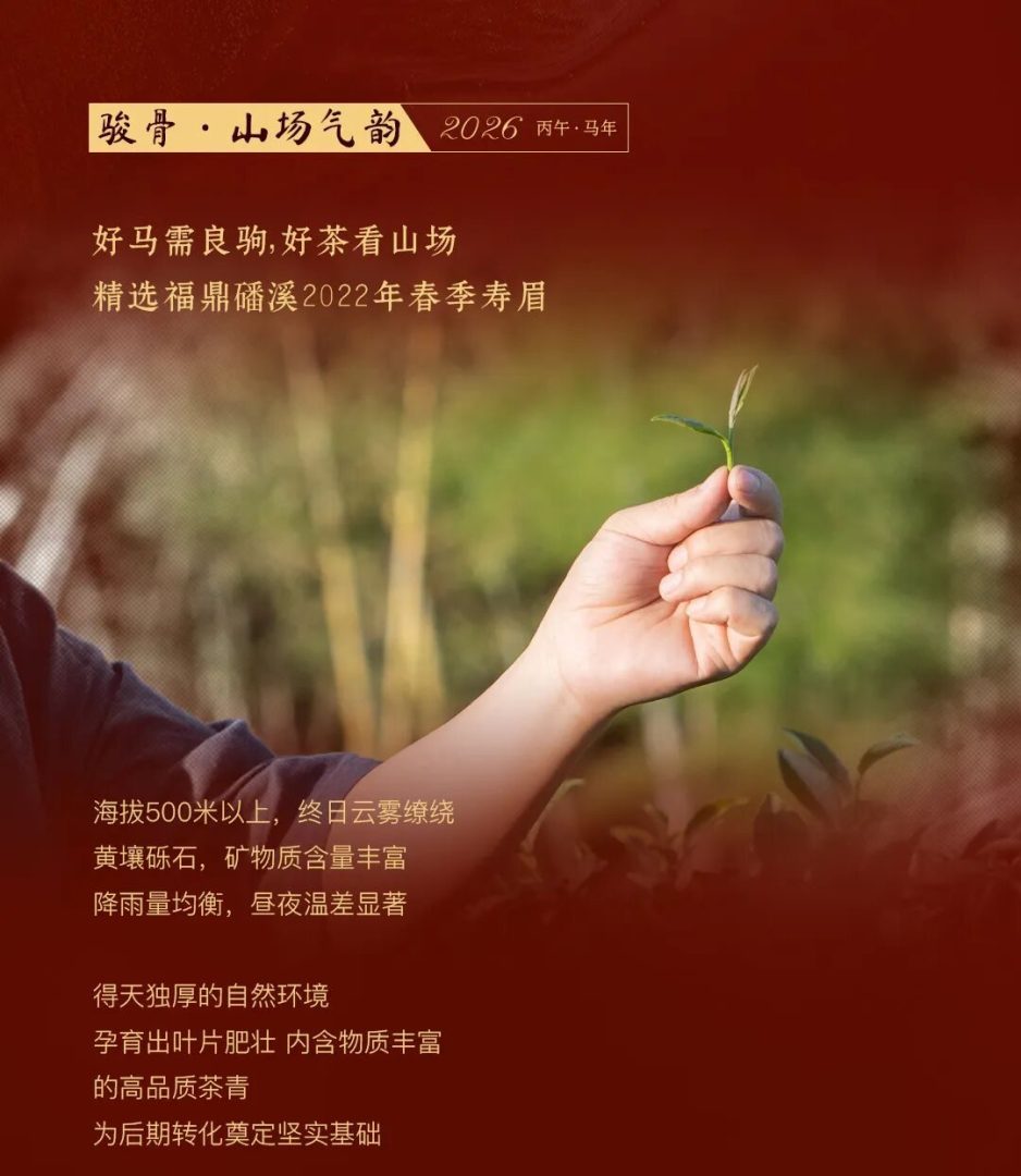 商品图5