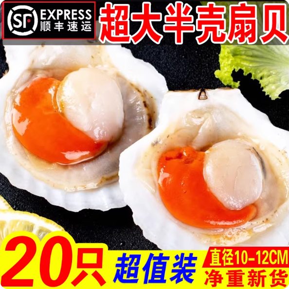 超大元贝鲜活冷冻海鲜