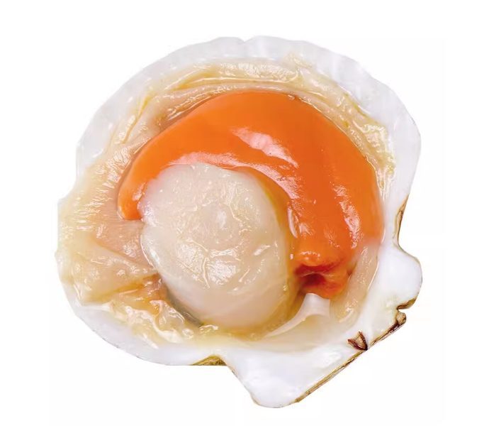 商品图5