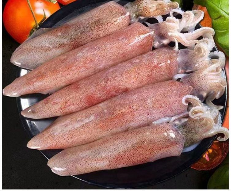 冰鲜鱿鱼筒